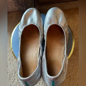 Tieks Silver Screens